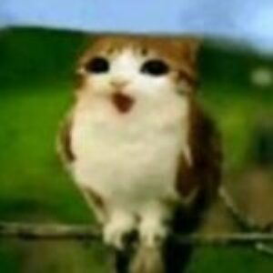 Enes kullanıcısının profil fotoğrafı