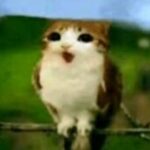 Yiğithan kullanıcısının profil fotoğrafı